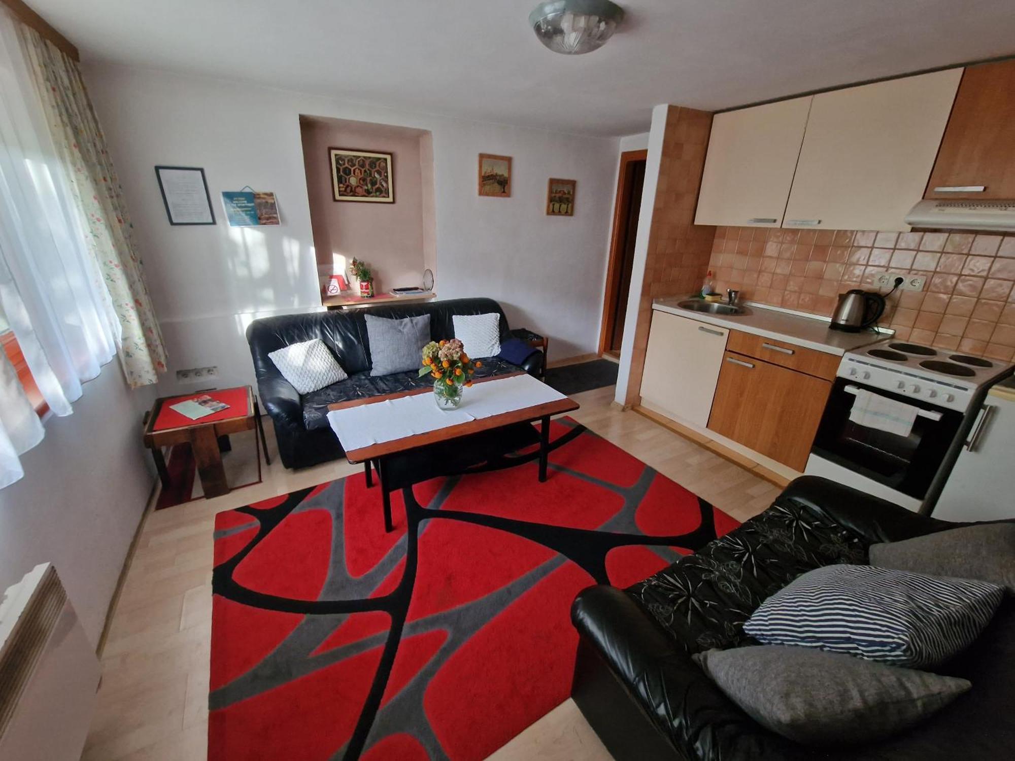 Apartment Near Center SJJ Eksteriør billede
